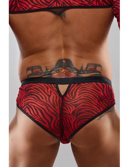 Slip type brésilien zébré rouge et noir - Regnes